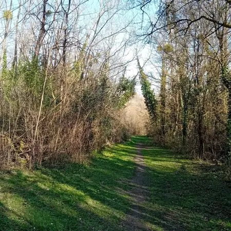 Parcelles boisées