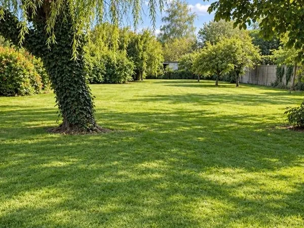 Terrain 1009 m²