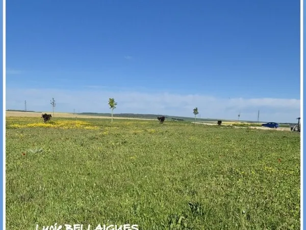 À VENDRE - Magnifique terrain viabilisé de 2742 m² à Onjon (à 20 min de Troyes)