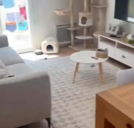 Collocation entre Aix et Marseille