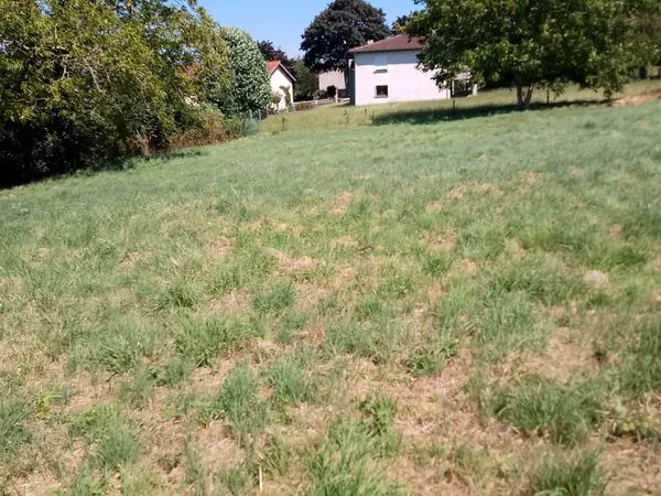 Terrain à vendre