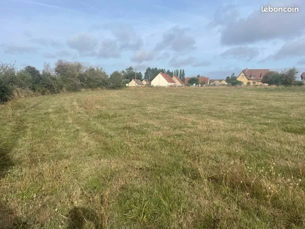 🌿 Terrain de 5 000 m² à vendre - Lalande-en-Son