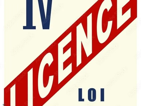 VENTE LICENCE IV - SANS FONDS DE COMMERCE - (974)