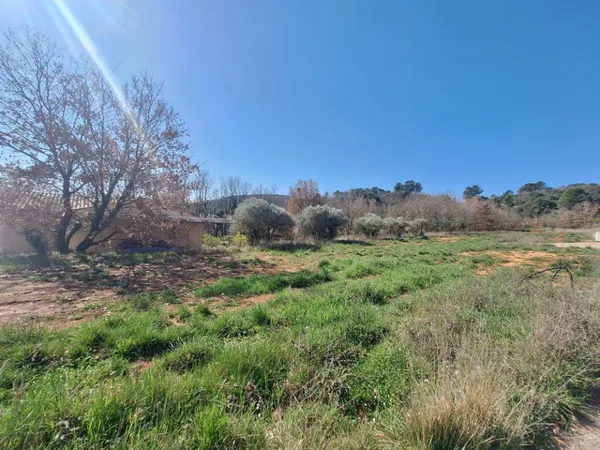 Terrain 972 m²