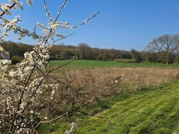 Terrain constructible 1006 m²