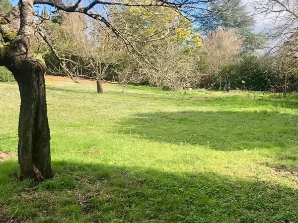 Terrain plat de 1200 m2