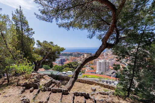 Maison 1 pièce 720 m²