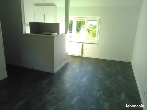 Appartement T1 31 m² rénové avec cuisine équipée neuve et lave-linge