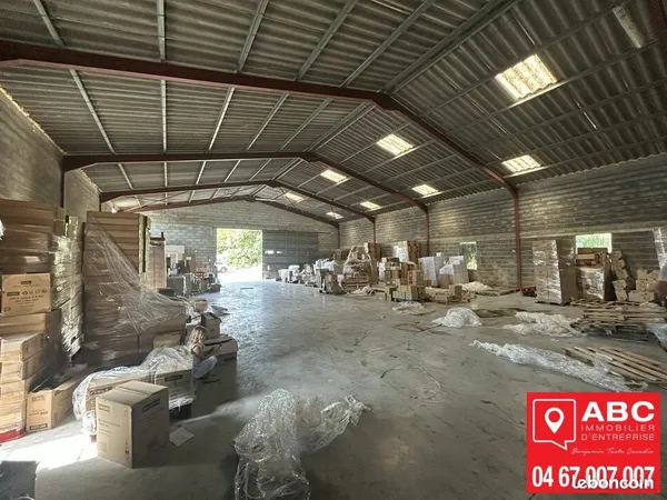 LOCAL D'ACTIVITE 405 m² CLERMONT-L'HÉRAULT