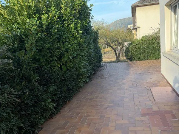 🏡 Maison rénovée 96 m² à louer - Sélestat