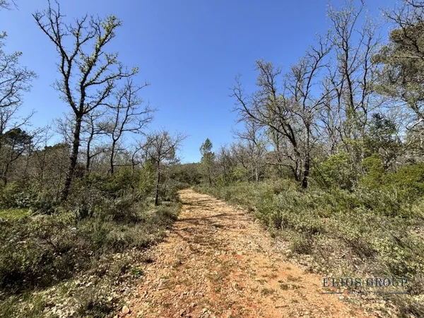 Terrain naturel de 2516m² au coeur de la forêt  Havre de pa