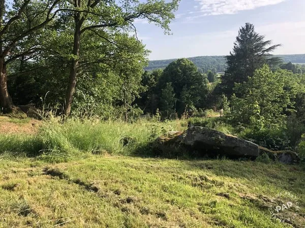 Terrain