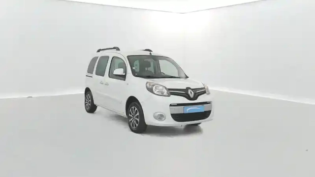 Renault Kangoo blue dci 95 — photo 30
