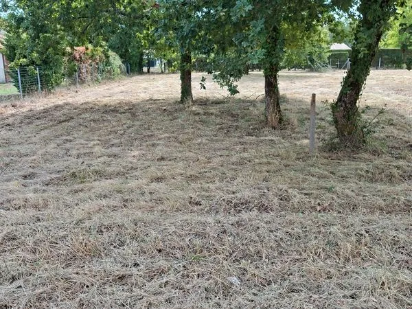 TERRAIN 1375 m2