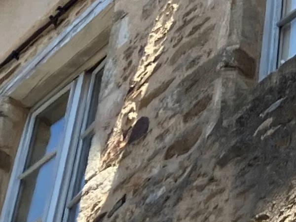 Loue appartement