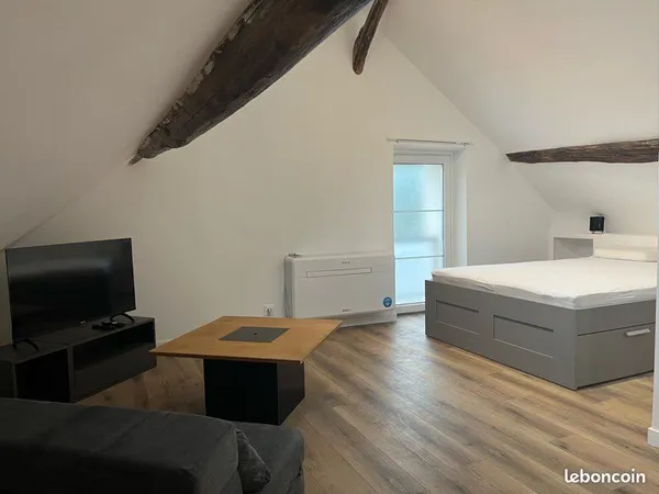 Villejust-Grand studio 42 m2 climatisé meublé - place de parking privative