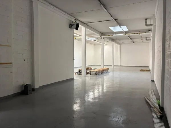Local d'activité 1 pièce 302 m²