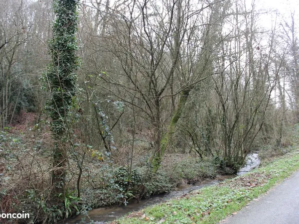 Terrain - Parcelle de bois