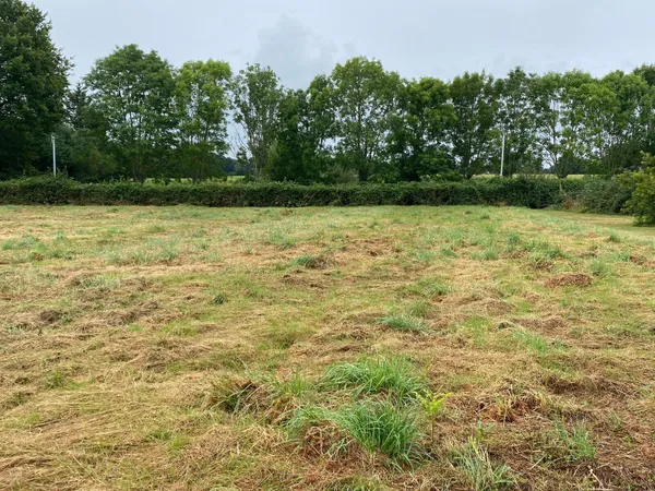 Terrain 2119 m²