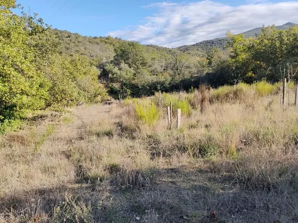 Bien agricole et foncier Vente Rodès   6000€