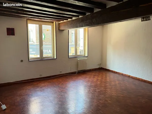 Grand studio 45m2 rouen rive droite