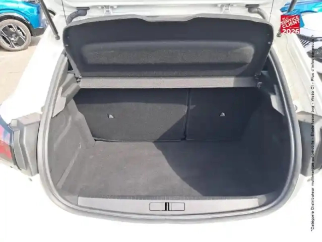 Peugeot 208 1.5 bluehdi 100ch s&amp;s active — photo 14