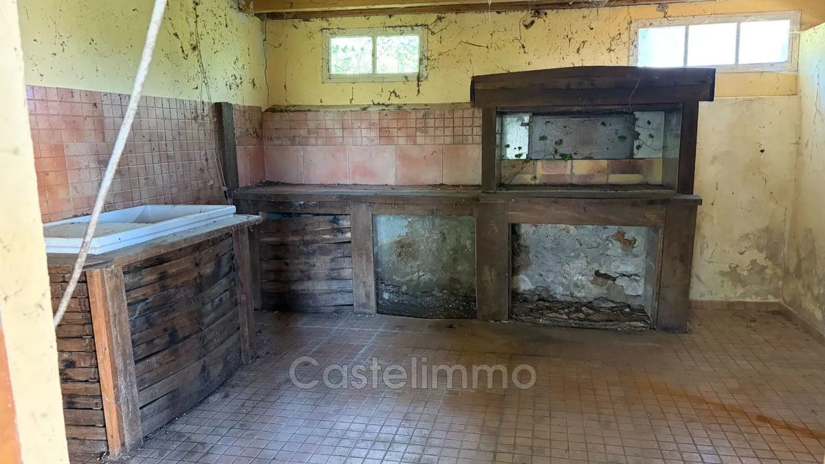 Photo 17