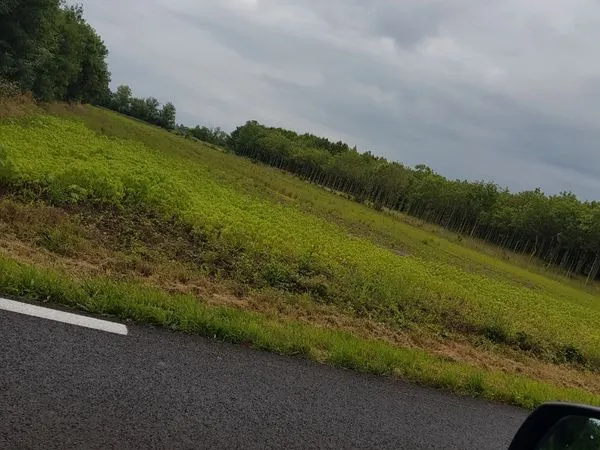 Terrain agricole 12000m2