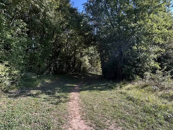 Bois de Brégis