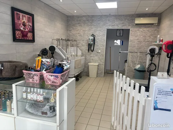 Salon de toilettage