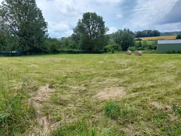 Terrain 997 m²
