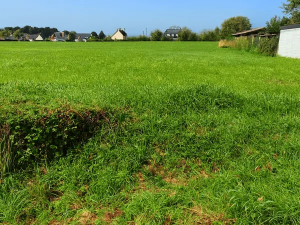 Terrain en individuel 644 m²