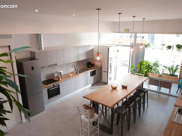 Colocation proche Gambetta - Superbe Loft lumineux - 200m2
