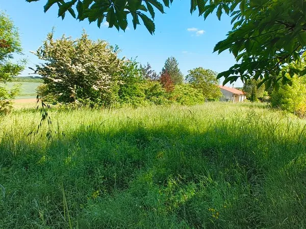 Terrain constructible 2257m² à vendre CADALEN (81600)