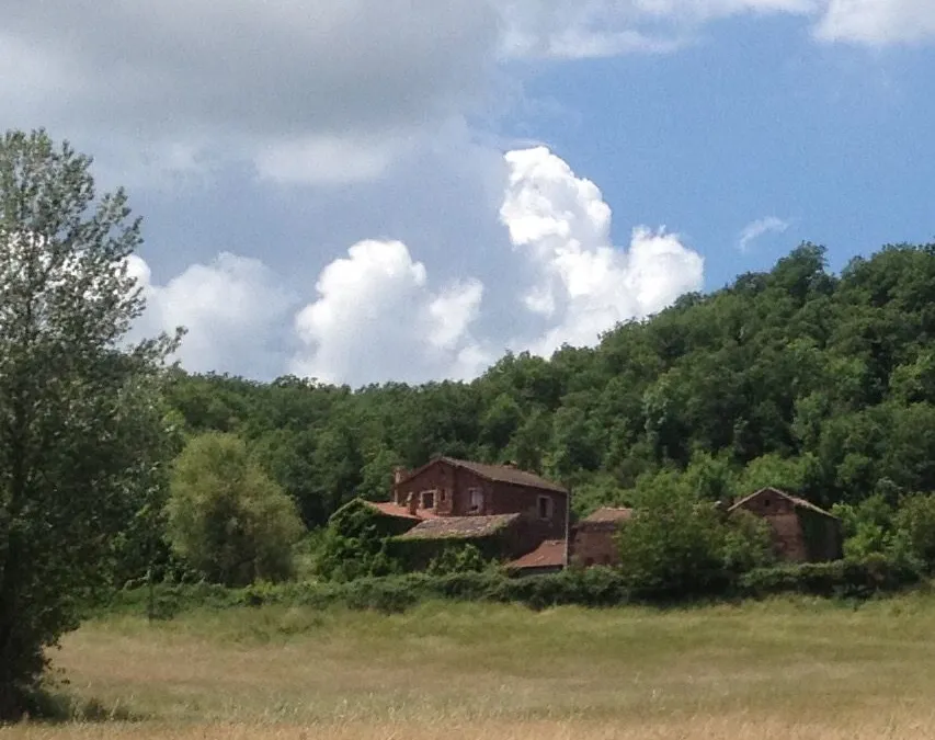 Photo 3