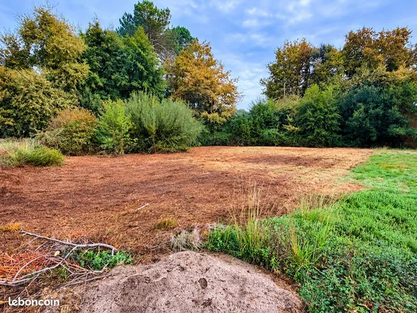Terrain constructible 969 m ² - cadre naturel