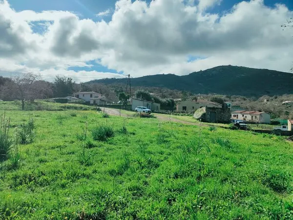 Terrain 2419 m²
