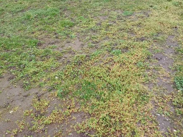 Terrains à bâtir Auxonne 21