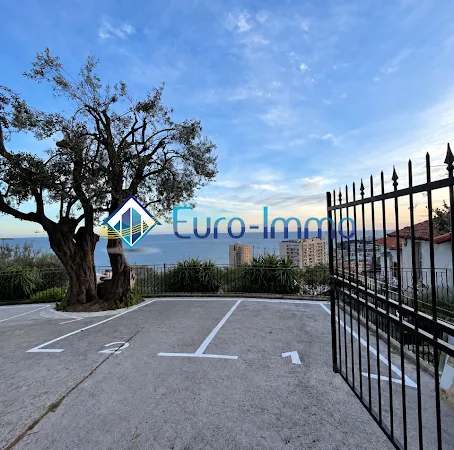 Garage et parking Location Beausoleil 950€