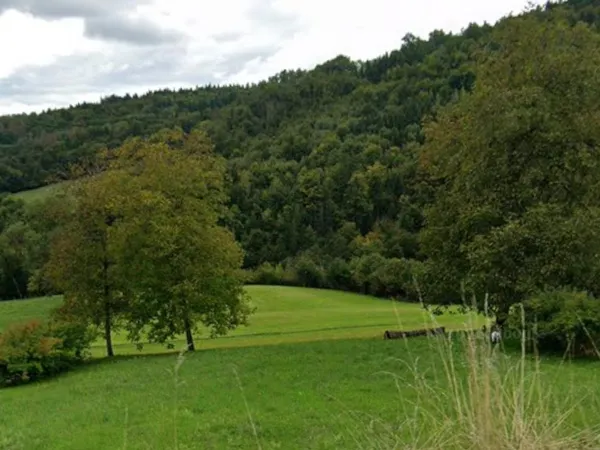 Terrain viuz en sallaz 988 m²