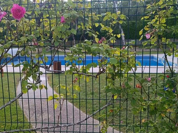 Appartement 2 pièces 55 m²