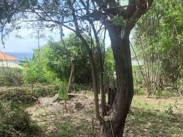 Terrain 584 m²