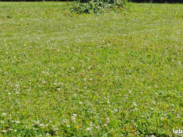 TERRAIN A BÂTIR DE 413 M² à SOLERS