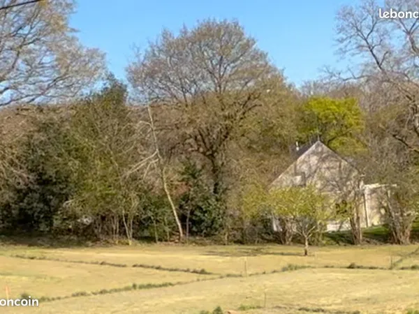 Terrain constructible 445m2