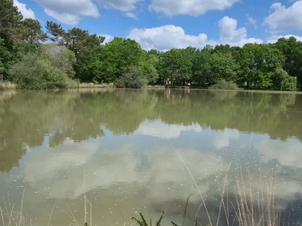 Propriété 6 pièces 174 m²