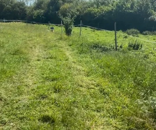 Terrain 3000 m²