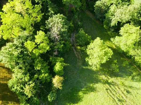 Ancienne ferme rénovée sur 3,4 ha à Alby-sur-Chéran - Havr