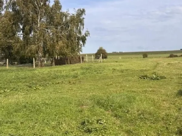 Terrain 2 490 m² Dominois