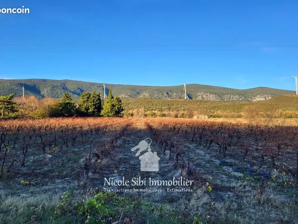Terrain 38451 m² Caudiès-de-Fenouillèdes