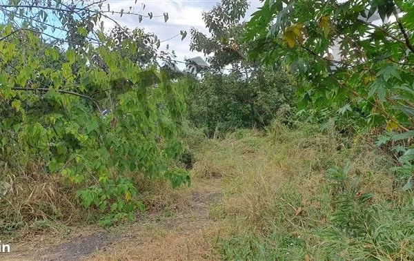 Terrain 927 m² Piton Saint Leu